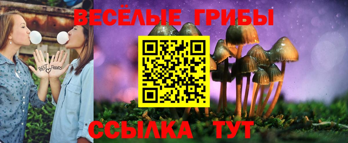 Галлюциногенные грибы GOLDEN TEACHER  Вход с VPN  Галлюциногенные грибы ЛСД  Киржач 