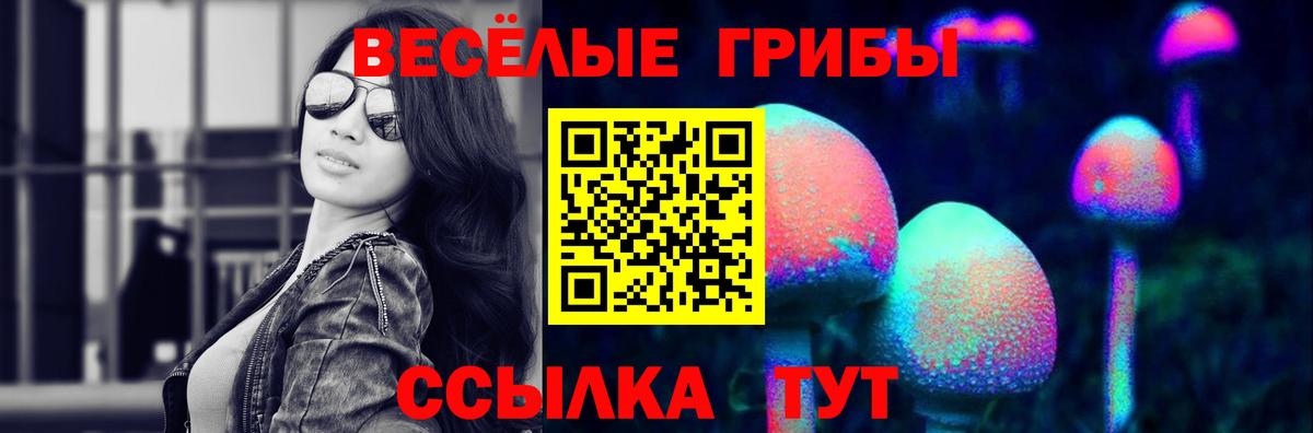 Галлюциногенные грибы мицелий Киржач